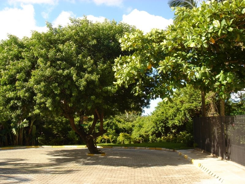 Apartamento, 1 quarto, 30 m² - Foto 13