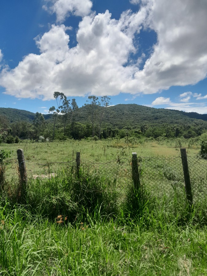 Terreno, 5280 m² - Foto 7