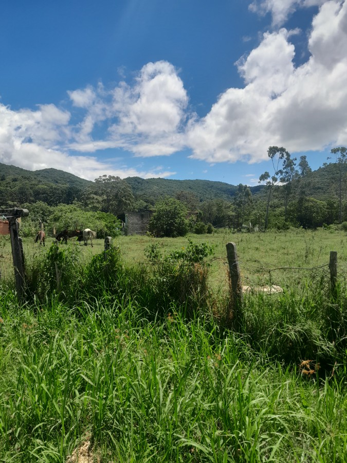 Terreno, 5280 m² - Foto 8