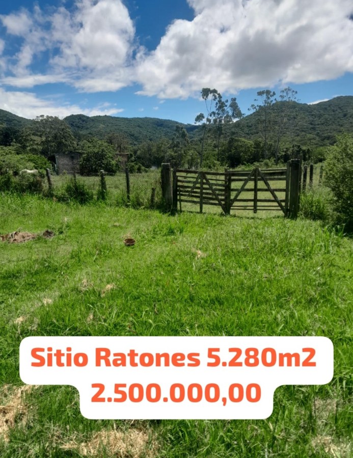 Terreno, 5280 m² - Foto 2